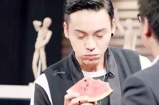 娱乐圈男主陈伟霆,娱乐圈的璀璨星辰，魅力四射的硬汉风采