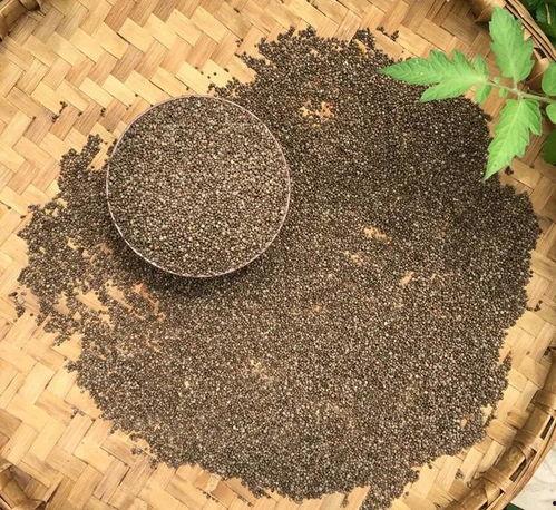 麻 图片,探寻植物界的神奇力量